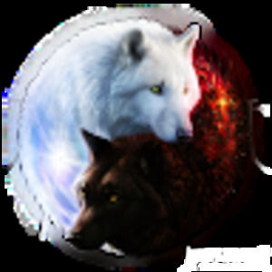 Meet your Posher, Ava